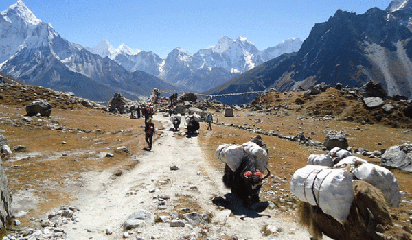 Everest base camp trek difficulty